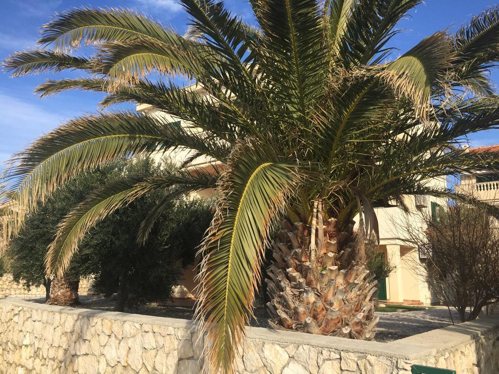 Apartments Andrea ستارا نوفالجا المظهر الخارجي الصورة